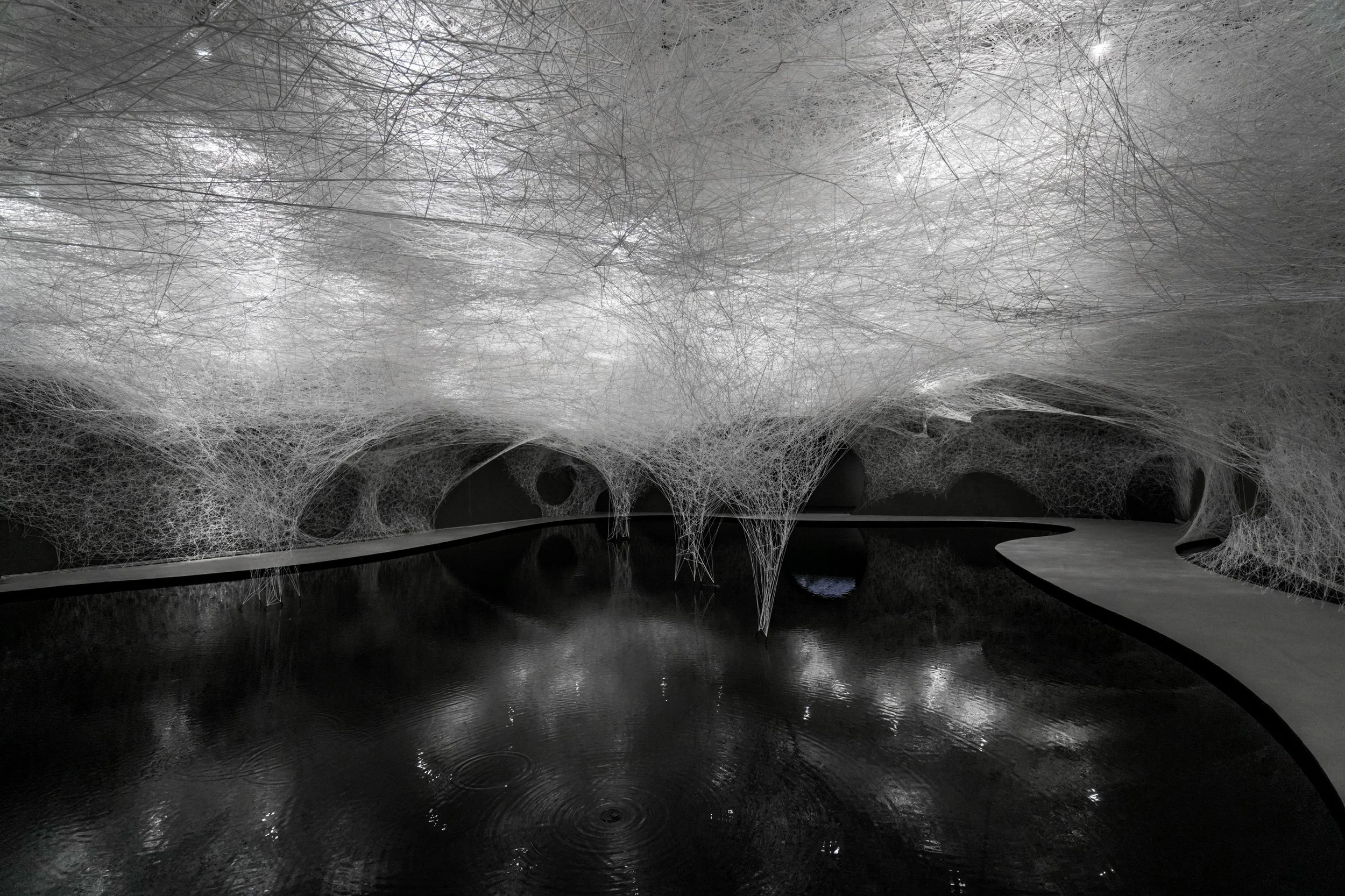 CHIHARU SHIOTA–塩田千春